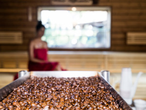 KAFFEE-STÜBCHEN-SAUNA (außen) ca. 90°C